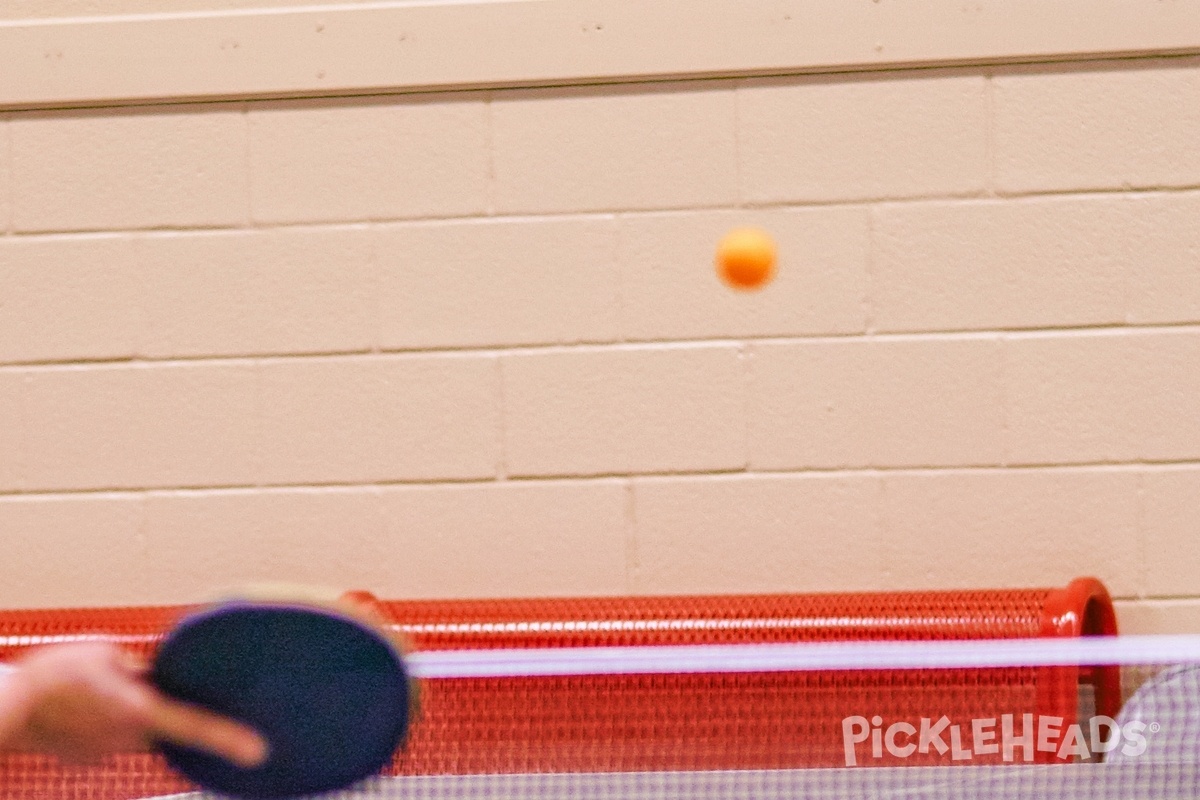 Photo of Pickleball at Cedar Ridge Drive Park